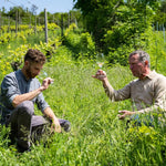 Gewurztraminer Grand Cru Altenberg de Wolxheim
